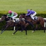 horse-racing-1577292_960_720