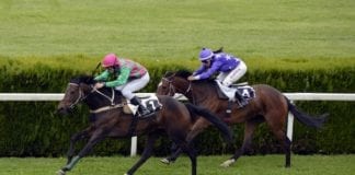 Galway jockey in intensive care after falling from horse