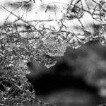 glass-984457_960_720