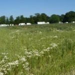 Travellers_on_Toton_Fields_-_geograph.org.uk_-_1345591