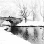 32101059632_df66a62ec7_b (2)