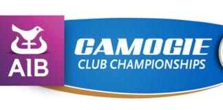 Camogie: ATHENRY MAKE IT A GALWAY FINAL DOUBLEÂ