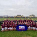 20180130 Presentation Tuam LGFA
