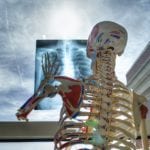 skeleton-2561573_960_720
