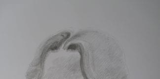 Thursday – Remembering Emily: Emily Anderson Memorial Concert Emily Anderson Memorial Concert