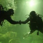 NUIG/GMIT Diving Fundraiser