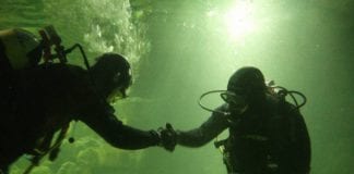 Friday – 30 Hour Dive-a-thon at Galway Atlantaquaria NUIG/GMIT Diving Fundraiser