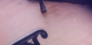 Alternative Valentine’s event gives singles a laugh Sob On Bench Sadly