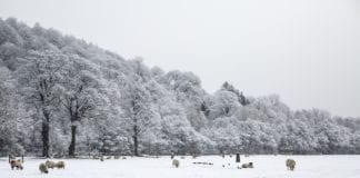 Met Éireann warns of more snow on Friday night Galway Daily news snow and ice weather warning