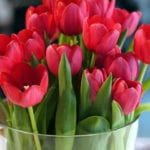 Mothers day gift ideas