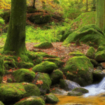 stick sunday family fun day