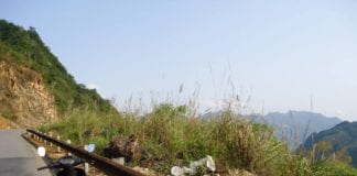 Personal Essay – Dragonfly dragonfly