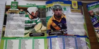 GALWAY GAA: (Match Report) – LOUGHREA 0-15 MULLAGH 0-12