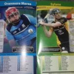 20180408 Oranmore Sylane