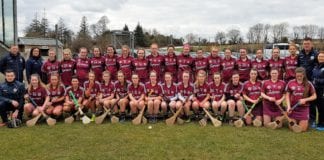 CAMOGIE: (Match Report) – GALWAY 4-9 TIPPERARY 1-10