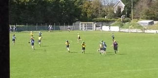 GALWAY CAMOGIE (Match Report): SKEHANA/MENLOUGH 3-3 CRAUGHWELL 0-0