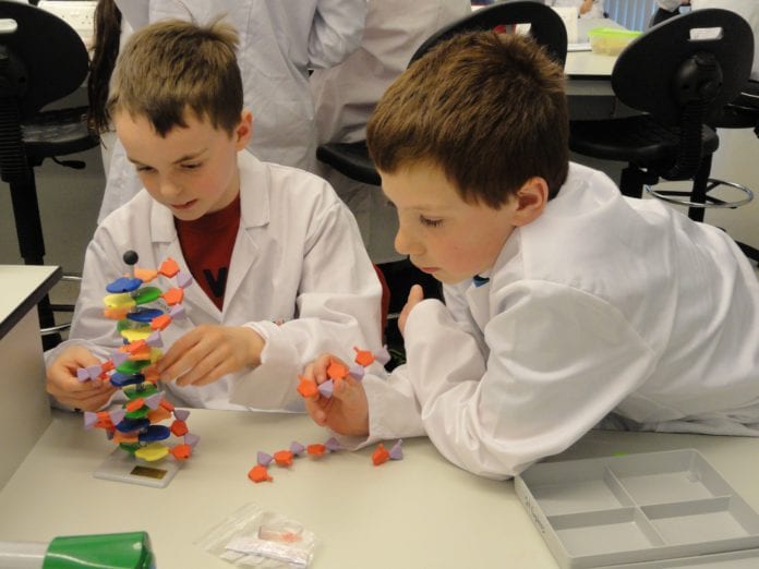 science summer camp galway