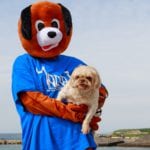 Photo by Darius Ivan www.divmedia.ie