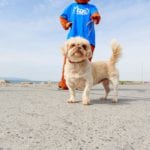 Photo by Darius Ivan www.divmedia.ie