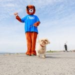 Photo by Darius Ivan www.divmedia.ie