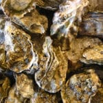 Galway New – Courts – Oysterman caught harvesting illegal shellfish