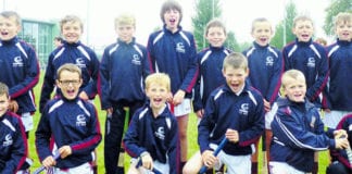 COMMUNITY GAMES: GAA COMPETITIONS KICK OFF THIS WEEKENDÂ Clarinbridge under 11 hurling