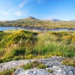 view-from-carna