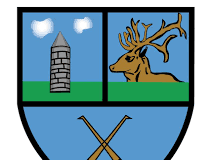 WATCH: “A Massive Lift” – Frank Harkin (Ballygar) Ballygar