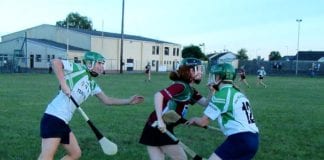 Camogie: Duanes Daybreak Intermediate Championship Round 2 Wrap Up Castlegar vs Shamrocks camogie
