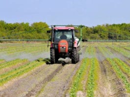 Galway daily news Teagasc Clinic on Transferring the Family Farm in Gort tomorrow