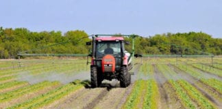 Calls for changes to farm inspection penalties Galway daily news Teagasc Clinic on Transferring the Family Farm in Gort tomorrow