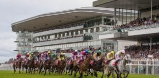 GALWAY RACES: Limini and Ruby Walsh The Day One Attractions Galway Daily news Galway Races won't be open to the public, if they take place at all