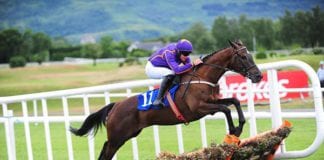 GALWAY RACES: Easy Game Takes the Festival Opener Easy Game