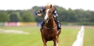 GALWAY RACES: Baba Boom Wins a Third Eventus Handicap Baba Boom
