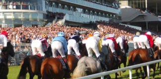 GALWAY RACES: Four Galway Daily Winners in Monday Recap Galway Races