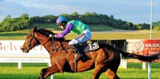 GALWAY RACES: St. Stephen’s Green Impressive Sight St Stephens Green