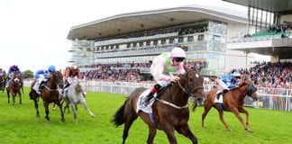 GALWAY RACES: Riven Light is Brightest in Tuesday’s Feature Riven Light