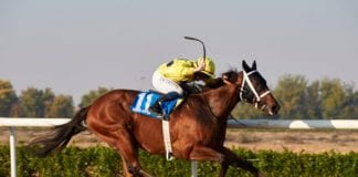 GALWAY RACES: Sharjah’s Day in Thursday Hurdle Recap Sharjah