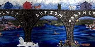 Local TDs demand funding for Galway Autism Partnership in crisis Galway daily news Local TDs demand funding for Galway Autism partnership in crisis