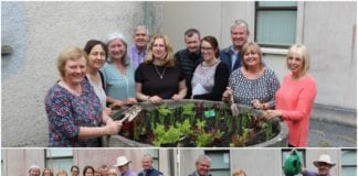 Staff at Merlin Park Hospital get green fingers with Healthy Ireland vegetable garden Galway Daily Merlin Park Hospital staff start vegetable garden for Healthy Ireland