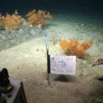 Porcupine Bank Canyon