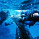 Galway News – Ghost fishing operation planned