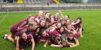 OPINION: Some Days Are Just Worth Savouring under 16 camogie