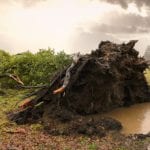 Galway News – Incredible images of Storm Ali damage in Galway