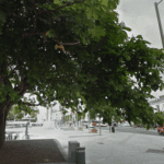 Galway Environmental Network