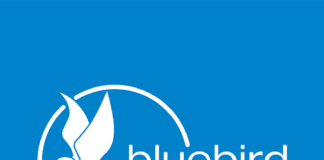 Bluebird Care is hiring 22 nurses and carers in Galway Galway Daily news Bluebird Care creating 22 jobs for nurses and carers in Galway