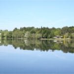 Lough Corrib waterweed after