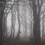 Galway News – Life and Style – Haunted Galway Halloween