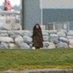 claddagh nun closeup