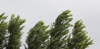 Storm Jorge downs trees and blows a shed into the street. Galway daily weather Met Eireann weather warning in force for Galway today